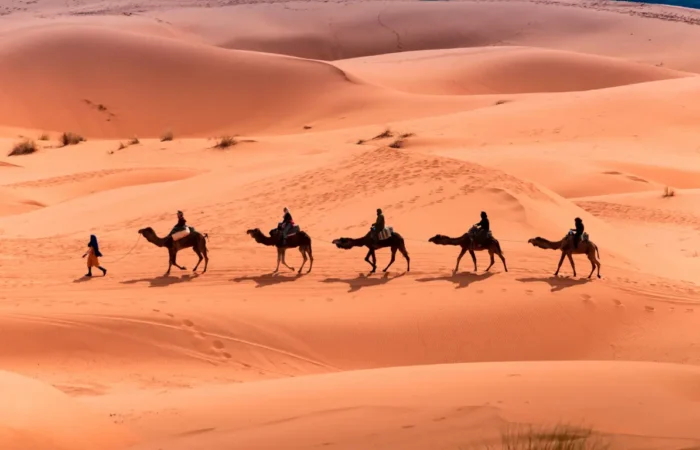 Ultimate Morocco Trip