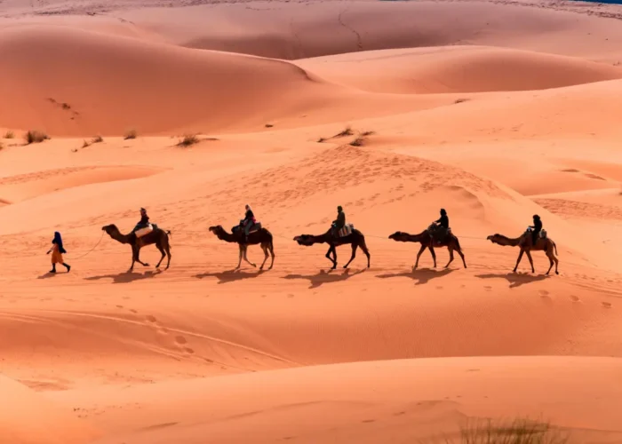 Ultimate Morocco Trip