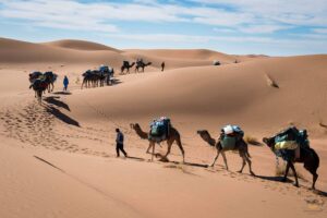 Visit the Sahara desert